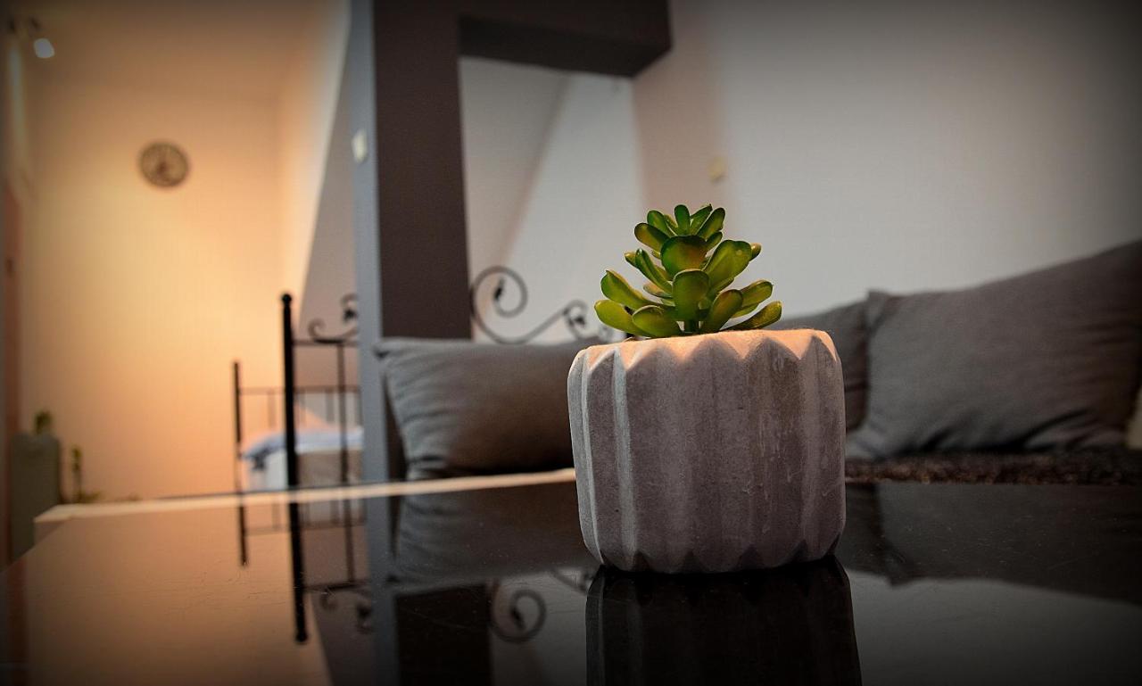 Iva Studio-Apartment Кладово Екстериор снимка